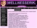 http://wellnesserikamasszazs.hu ismertető oldala